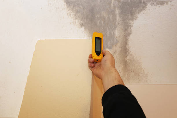 Best Comprehensive Air Testing for Mold Contaminants  in Cottonwood Heights, UT