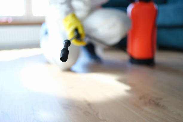 Cottonwood Heights, UT Mold Removal Company